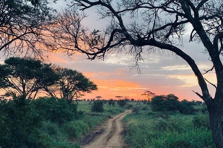 3-Day Serengeti and Ngorongoro Crater Camping Safari from Arusha photo 4