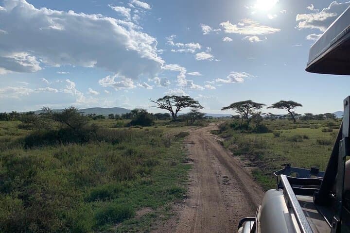 3-Day Camping Safari: Tarangire, Ngorongoro Crater & Lake Manyara photo 6