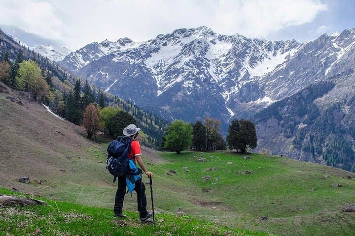 Lama Dugh Hike: Full-Day Guided Trek from Manali to Alpine Meadows