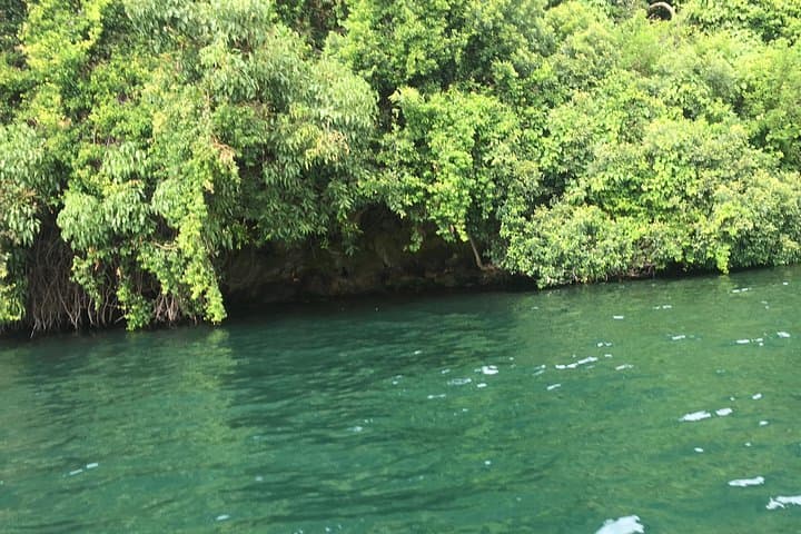 Karongi Day Trip: Hiking, Birding & Lake Kivu Wildlife Trails photo 3