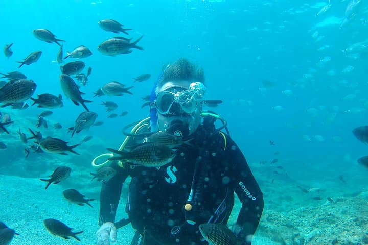 Discover Scuba Diving in Protaras and Ayia Napa — Turtles, Wrecks & Green Bay photo 3