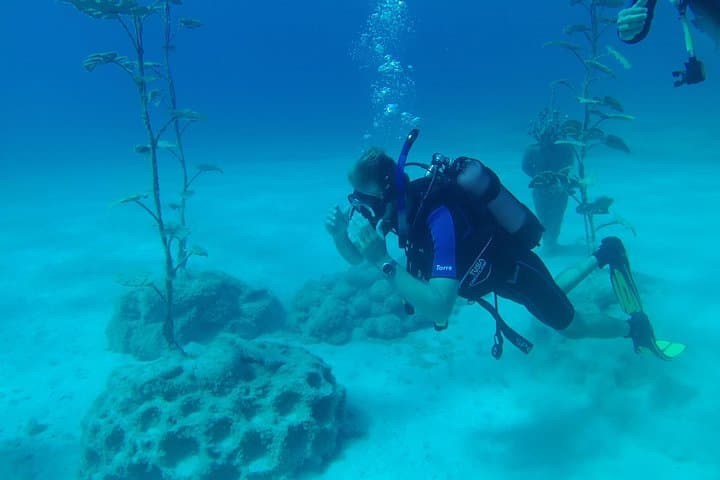 Discover Scuba Diving in Protaras and Ayia Napa — Turtles, Wrecks & Green Bay photo 4