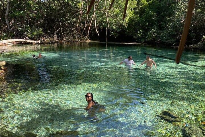 Oviedo Lagoon & Arroyo Salado: Pedernales Day Tour to Flamingos, Mud Baths & Ecological Wells photo 3