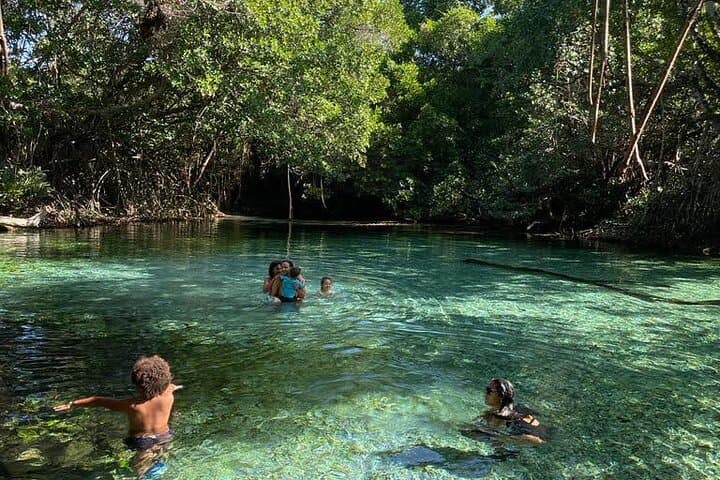 Oviedo Lagoon & Arroyo Salado: Pedernales Day Tour to Flamingos, Mud Baths & Ecological Wells photo 4