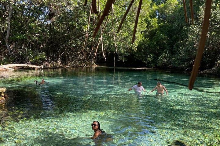Oviedo Lagoon & Arroyo Salado: Pedernales Day Tour to Flamingos, Mud Baths & Ecological Wells photo 6