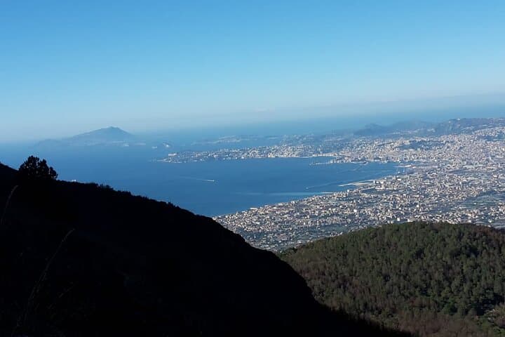Mount Vesuvius Tour from Ercolano — Skip-the-Line Bus and Crater Walk photo 6