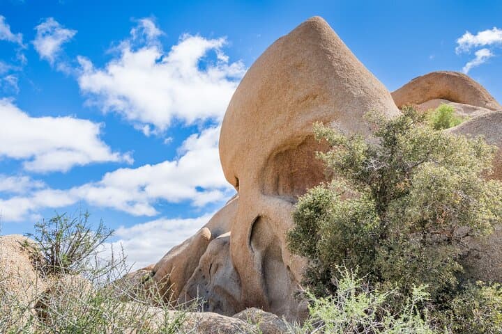 Self-Guided Joshua Tree National Park Audio Tour: Drive, Hike & Keys View Highlights photo 6