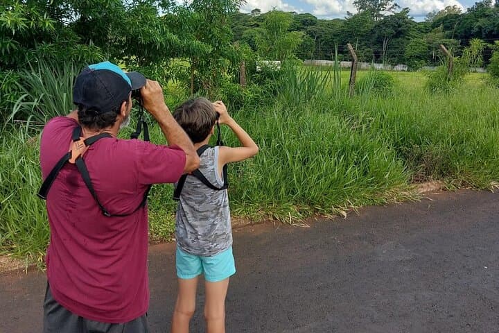 Iguazu Birding Explorer: Private Tour for Birdwatchers & Photographers photo 2
