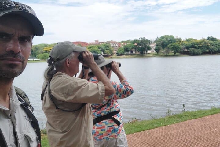 Iguazu Birding Explorer: Private Tour for Birdwatchers & Photographers photo 3