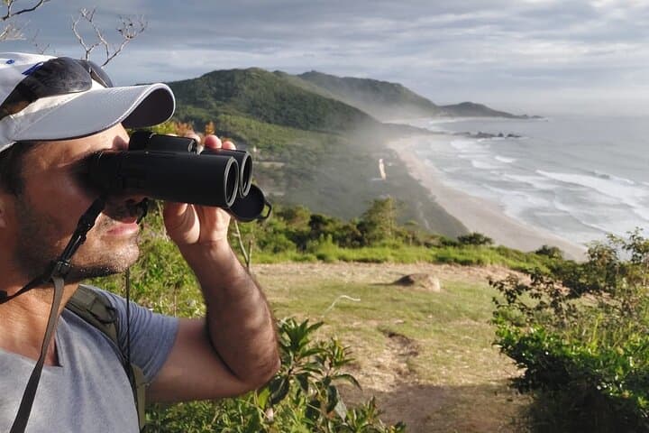 Iguazu Birding Explorer: Private Tour for Birdwatchers & Photographers photo 4