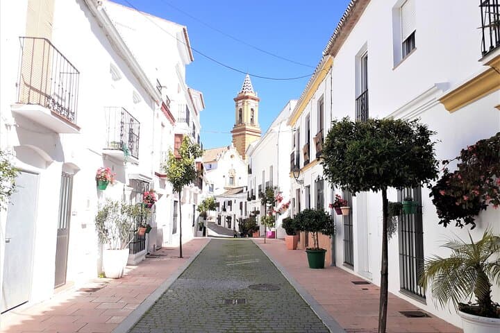 Gibraltar and Estepona: Private Day Trip from Marbella photo 6