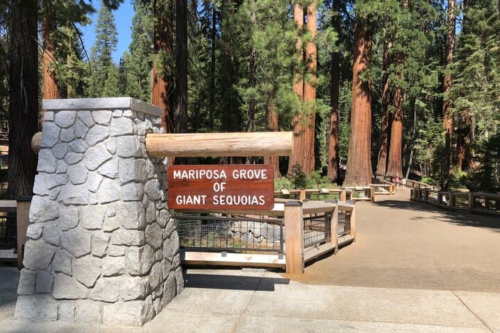 Yosemite Highlights Small Group Tour: Full-Day Guided Visit to Yosemite Valley & Glacier Point photo 2
