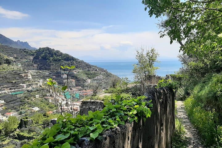 Path of the Lemons: Hike Through Amalfi Coast Lemon Groves and Roman Ruins photo 1
