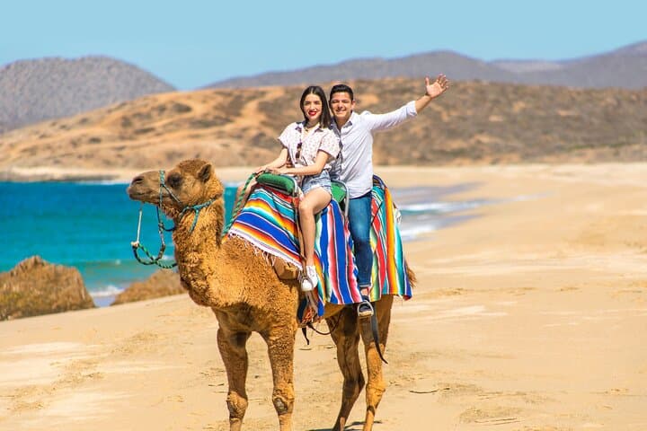Cabo Desert UTV and Camel Ride — Dunes, Ocean Views & Desert Tracks photo 3