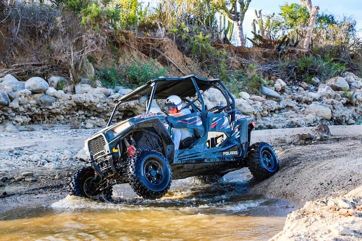Cabo Desert UTV and Camel Ride — Dunes, Ocean Views & Desert Tracks photo 2