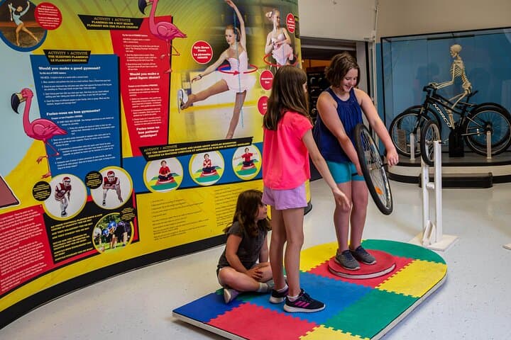Inside the New Brunswick Sports Hall of Fame: Interactive Tours in Fredericton photo 5