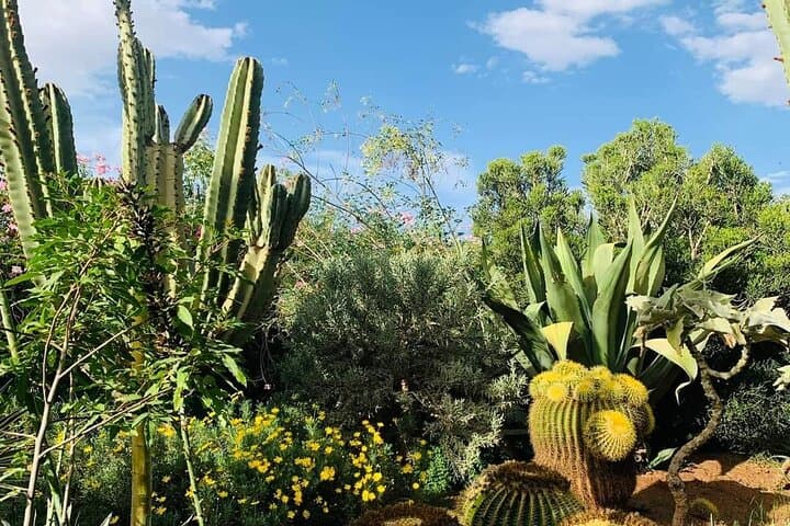 Agadir Crocoparc: Crocodile Park Admission with Round-Trip Shuttle photo 6