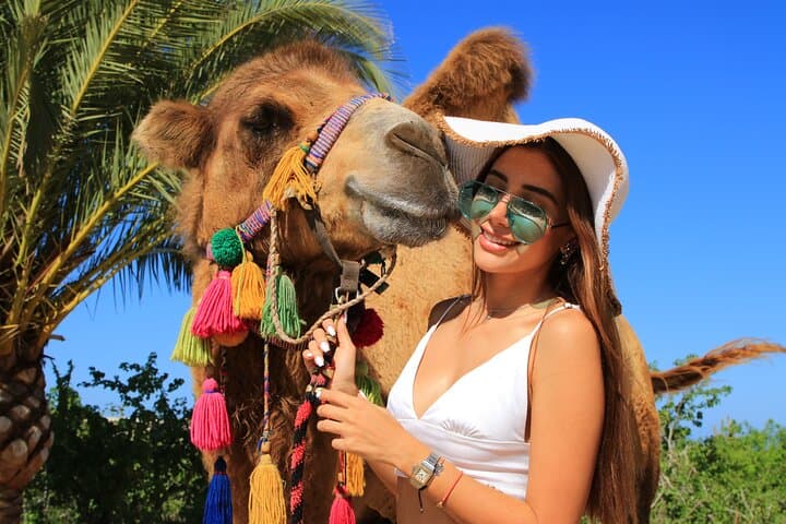 Cabo Desert UTV and Camel Ride — Dunes, Ocean Views & Desert Tracks photo 6