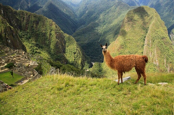 Machu Picchu in a Day: Full-Day Private Tour from Cusco photo 2