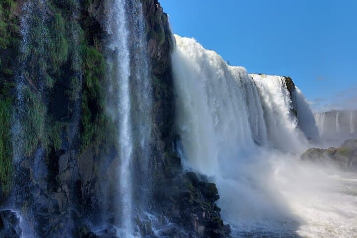 Private Tour — Iguazu Falls (Brazilian Side): Panoramic Views & Wildlife