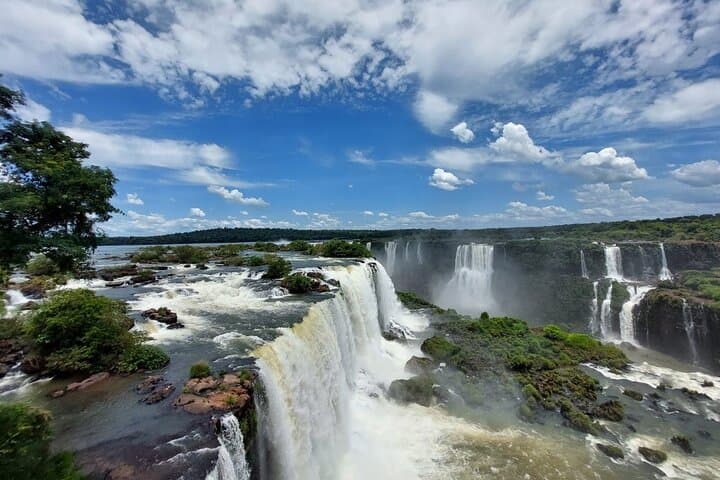 Private Tour — Iguazu Falls (Brazilian Side): Panoramic Views & Wildlife photo 5