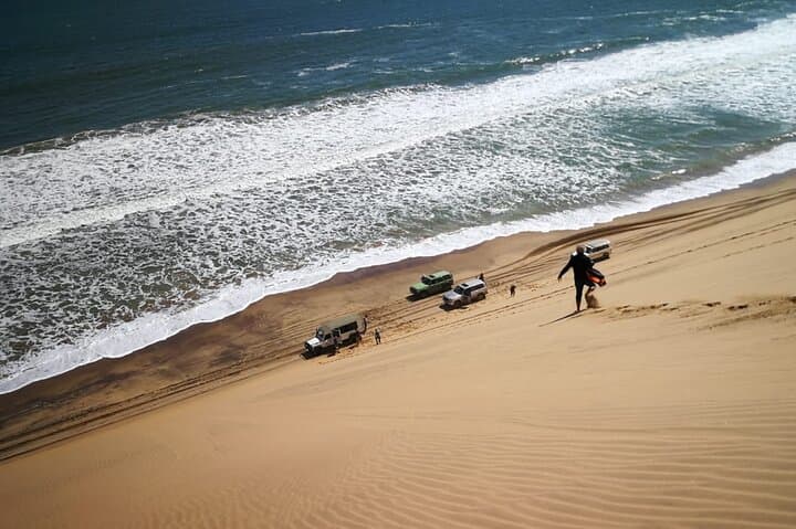 Sandwich Harbour 4x4 Tour: Dunes, Desert Wildlife & Ocean Views