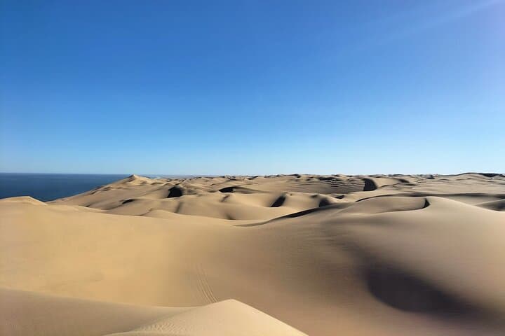 Sandwich Harbour 4x4 Tour: Dunes, Desert Wildlife & Ocean Views photo 4