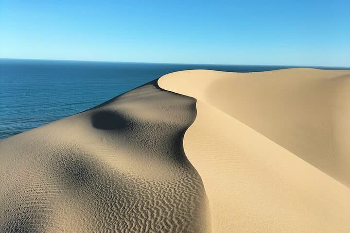 Sandwich Harbour 4x4 Tour: Dunes, Desert Wildlife & Ocean Views photo 5
