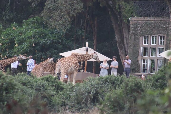Nairobi City Tour and Giraffe Feeding: Ultimate Half-Day Experience photo 2