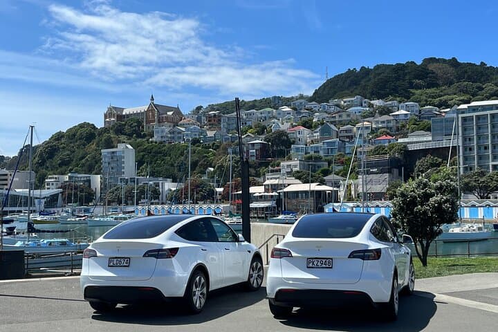 Wellington Electric Tesla Private Tour: City, Cable Car & Miramar Peninsula photo 6