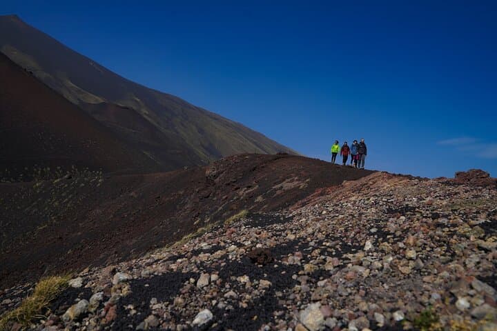 Mt Etna Nature and Flavors Half-Day Tour from Catania | Lava Craters, Cave Visit & Tastings photo 3