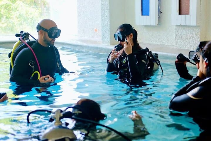 PADI Open Water Diver Course in Anilao — 2-Day Certification & Marine Life Dives photo 4