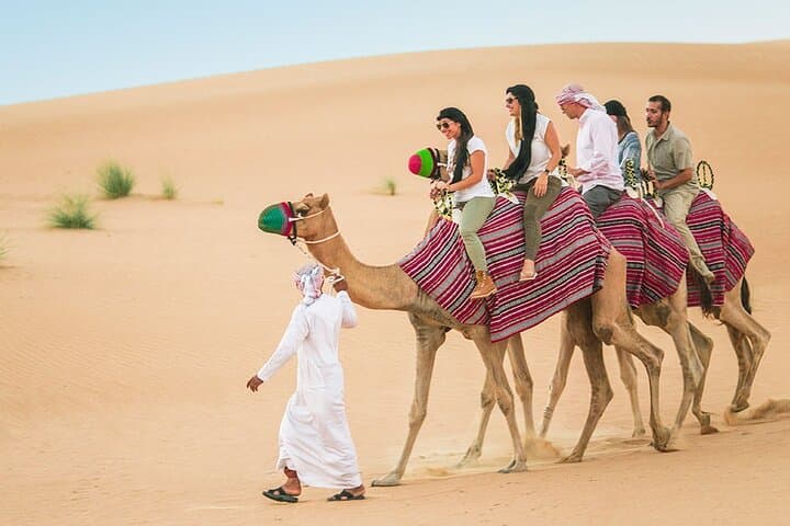 7-Night Dubai Abu Dhabi & Fujairah Explorer: City Sights, Desert Safari and Coastal Fujairah photo 6