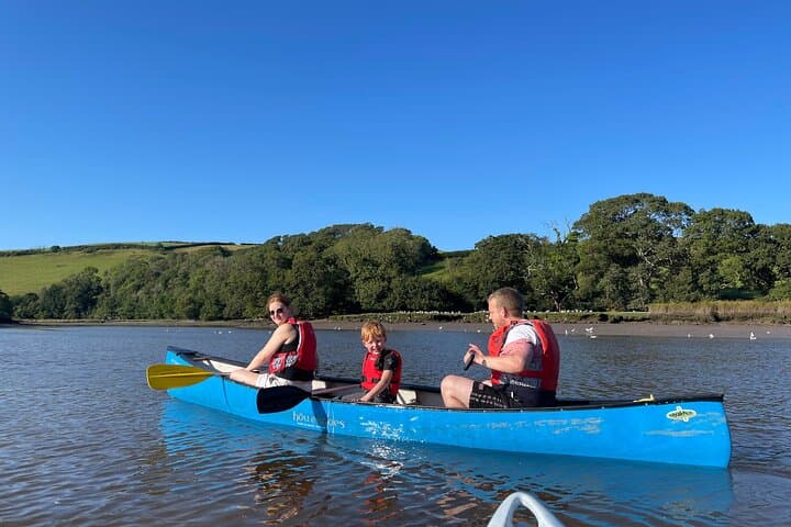 Half-Day Guided Canoe Trip on the River Dart from Totnes
