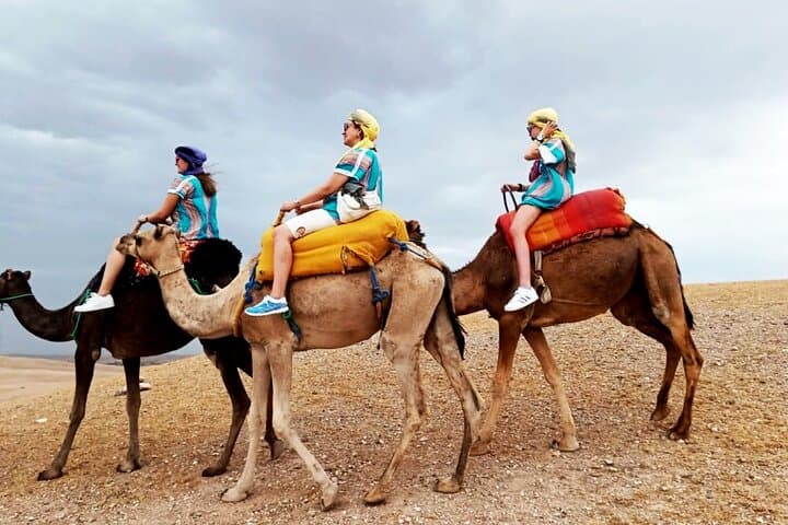 Majorelle Garden & Agafay Camel Ride: Marrakech Day Trip with Lunch photo 4
