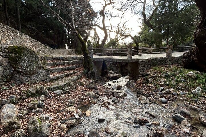 Explore the 99 Holy Fathers Cave and Krios Beach: Paleochora Private Day Tour photo 2