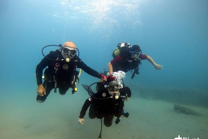 Beginner Scuba Baptism at Cabo Tiñoso Marine Reserve, Cartagena photo 4
