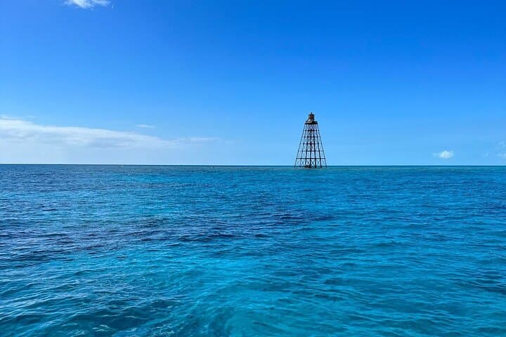 Discover the Vibrant Reefs of Key West: A Snorkeling Adventure with Salty Paws photo 3