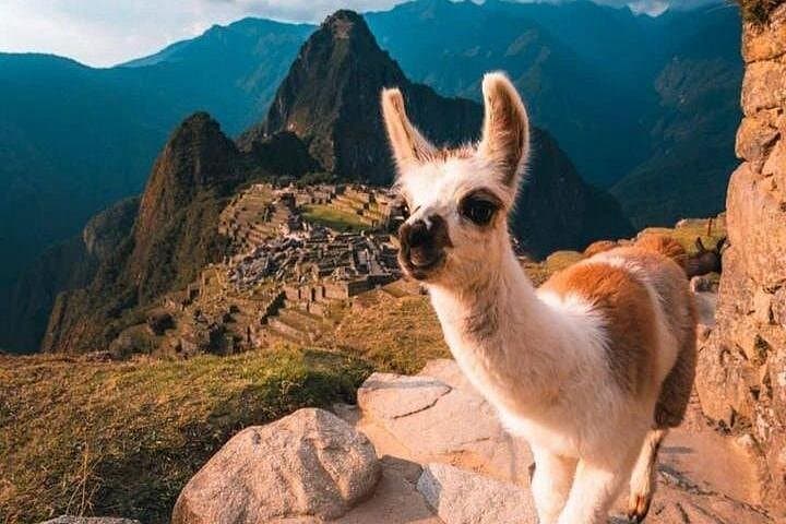 Private Machu Picchu Adventure: 5-Day Cusco, Sacred Valley, Humantay & Rainbow Mountain photo 3