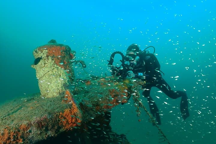 Panama City Beach Wreck & Bridge Span Dive Charter — Certified 50–75 ft Dives photo 5