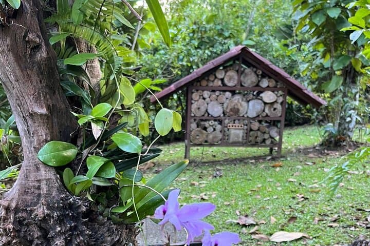 World of Bees Tour — Alajuela Bee Sanctuary Near La Fortuna photo 2