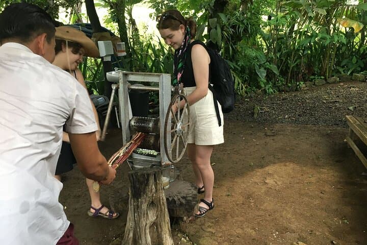 World of Bees Tour — Alajuela Bee Sanctuary Near La Fortuna photo 3