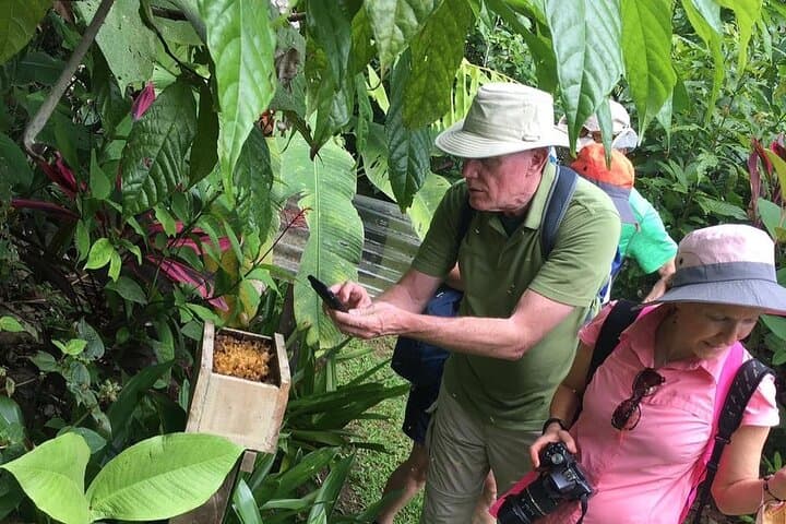 World of Bees Tour — Alajuela Bee Sanctuary Near La Fortuna photo 4