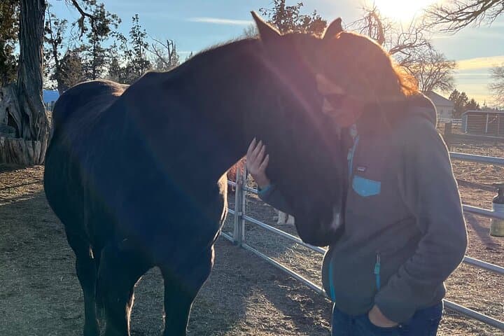 Meditations with Mustangs: Private 90-Minute Horse Meditation Session Near Bend, Oregon photo 2