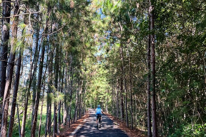 E-Bike the Northern Rivers Rail Trail: Self-Guided Byron Hinterland Ride photo 3