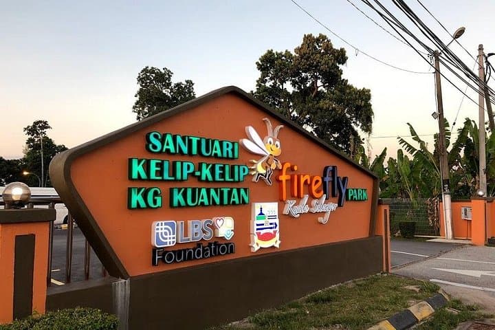 Kuala Selangor Fireflies & Hot Spring Nature Tour: Evening Boat Ride and Bukit Melawati photo 1