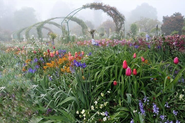 Private Giverny Day Trip from Paris — Monet’s House & Gardens with Hotel Pickup photo 5