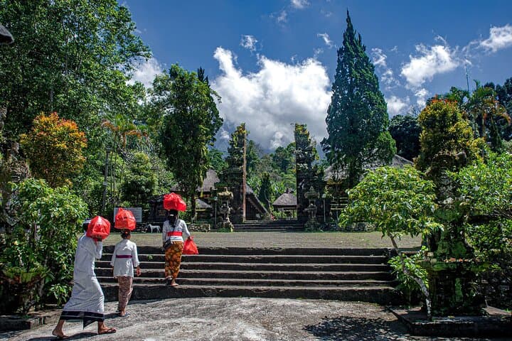 Sangeh Monkey Forest to Jatiluwih: A Day Trip Through Bali’s Sacred Forests and Rice Terraces photo 2