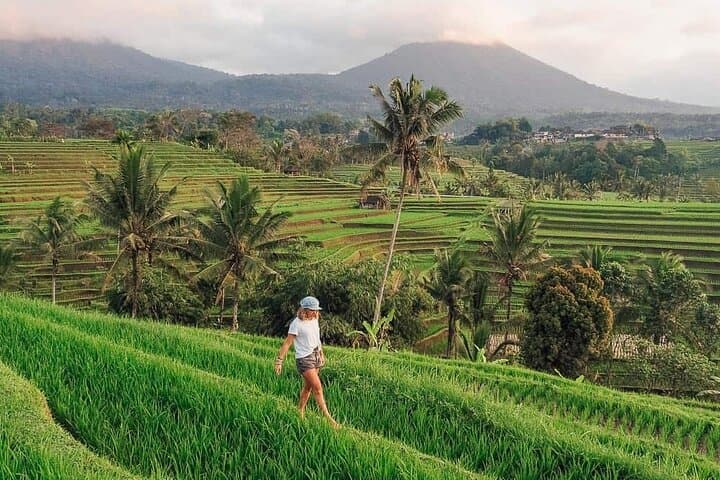 Sangeh Monkey Forest to Jatiluwih: A Day Trip Through Bali’s Sacred Forests and Rice Terraces photo 4
