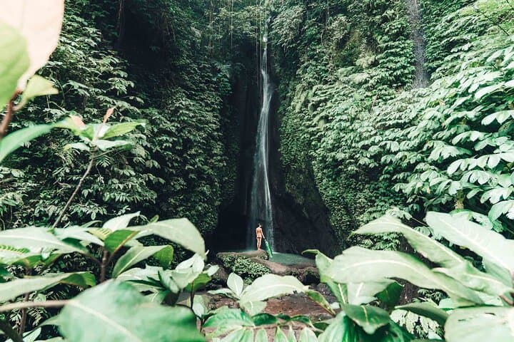 Sangeh Monkey Forest to Jatiluwih: A Day Trip Through Bali’s Sacred Forests and Rice Terraces photo 6